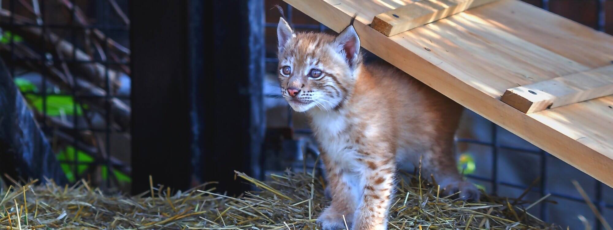 Alpenzoo Innsbruck