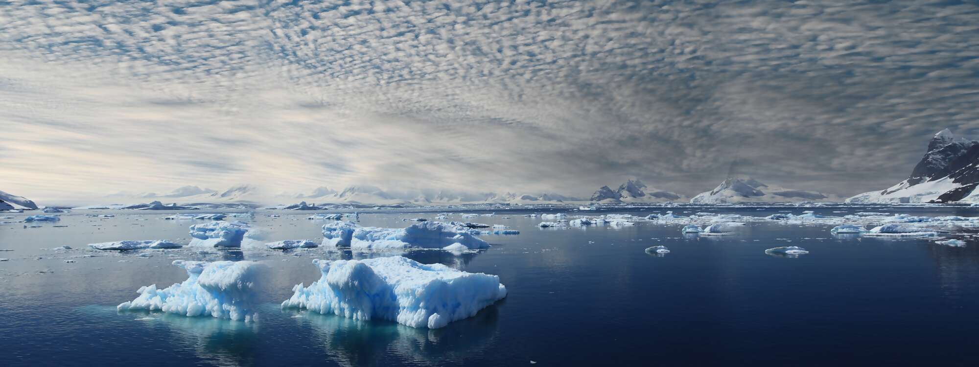 Während wir durch den Lemaire-Kanal segeln, werden Sie eine karge Wildnis aus Schnee und Eis inmitten schroffer, 1.000 Meter hoher Gipfel erleben - in der Antarktis